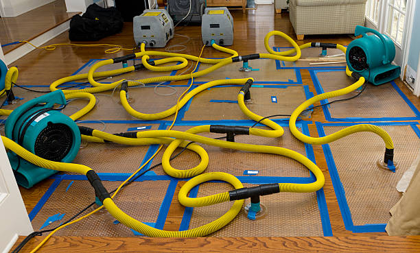 Professional Crawl Space Water Removal technician working in Blue Jay, CA